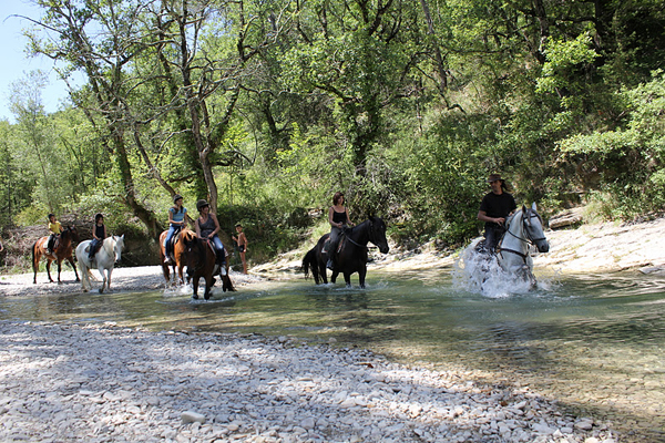 chevaux_rivieres