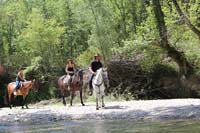 équitation avec les chevaux du Ranch des Trois Rivières en Vaucluse