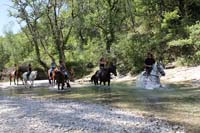 Equitation : ballade en Vaucluse aux Trois Rivières