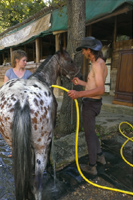equitation avec cavaliers confirmés à la journée entre drome et  Vaucluse